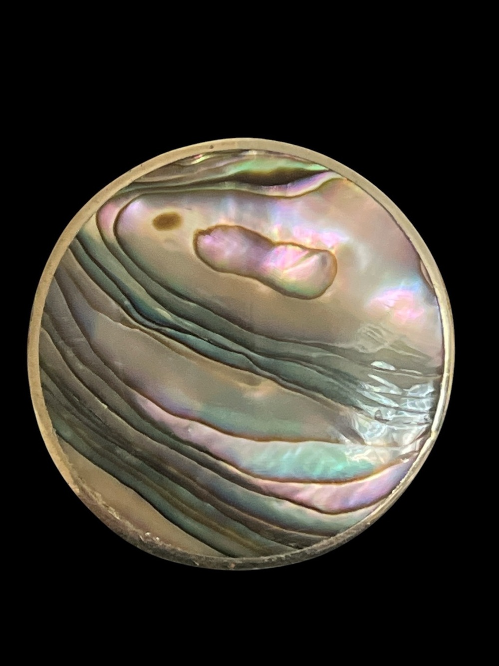 abalone shell vintage pendant & pin